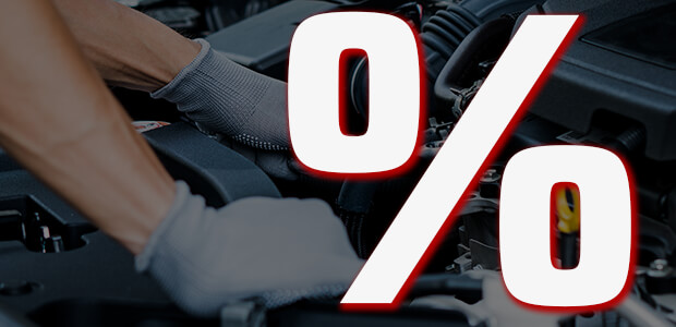 Newsletter Rheingold Autotechnik Rheingold Delfinder